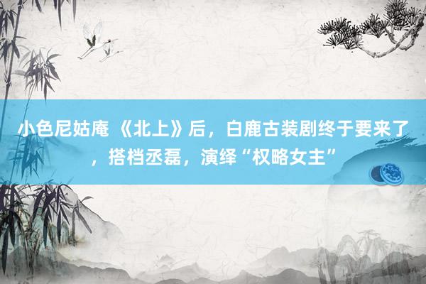 小色尼姑庵 《北上》后，白鹿古装剧终于要来了，搭档丞磊，演绎“权略女主”