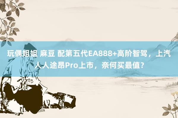 玩偶姐姐 麻豆 配第五代EA888+高阶智驾，上汽人人途昂Pro上市，奈何买最值？