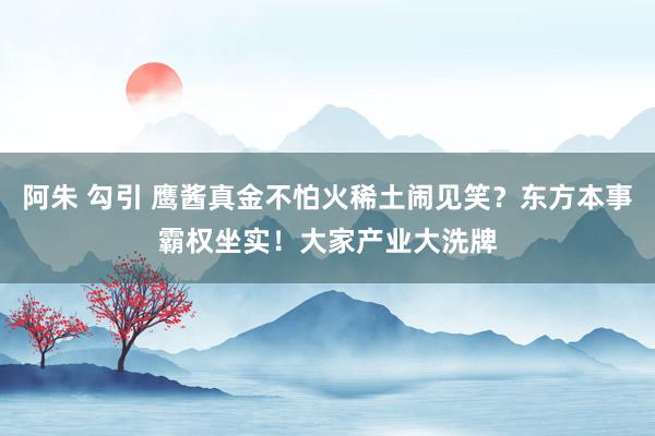 阿朱 勾引 鹰酱真金不怕火稀土闹见笑？东方本事霸权坐实！大家产业大洗牌