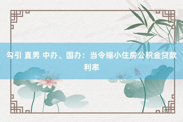 勾引 直男 中办、国办：当令缩小住房公积金贷款利率