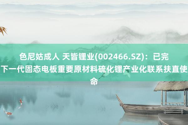 色尼姑成人 天皆锂业(002466.SZ)：已完成下一代固态电板重要原材料硫化锂产业化联系扶直使命