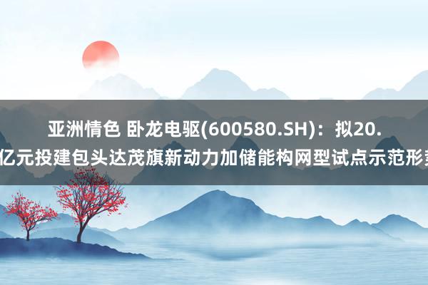 亚洲情色 卧龙电驱(600580.SH)：拟20.3亿元投建包头达茂旗新动力加储能构网型试点示范形势