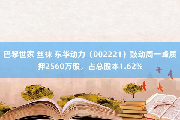 巴黎世家 丝袜 东华动力（002221）鼓动周一峰质押2560万股，占总股本1.62%