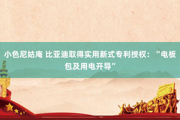 小色尼姑庵 比亚迪取得实用新式专利授权：“电板包及用电开导”