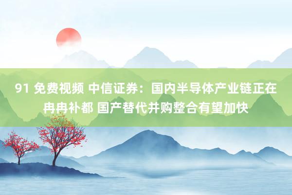 91 免费视频 中信证券：国内半导体产业链正在冉冉补都 国产替代并购整合有望加快