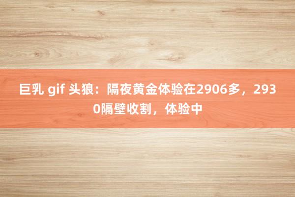 巨乳 gif 头狼：隔夜黄金体验在2906多，2930隔壁收割，体验中