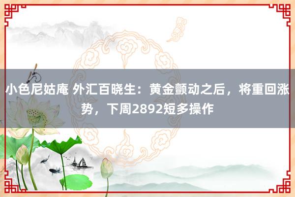 小色尼姑庵 外汇百晓生：黄金颤动之后，将重回涨势，下周2892短多操作
