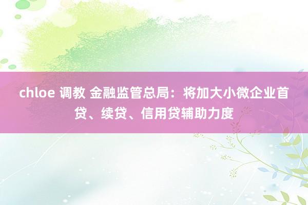 chloe 调教 金融监管总局：将加大小微企业首贷、续贷、信用贷辅助力度